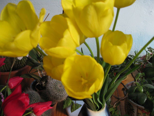 Татьяна Хорошилова