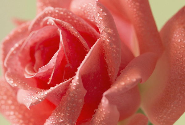 Оксана Иконникова