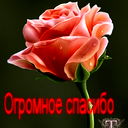 Любовь Станецкая