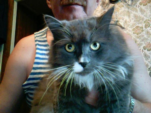 Владимир Щерба