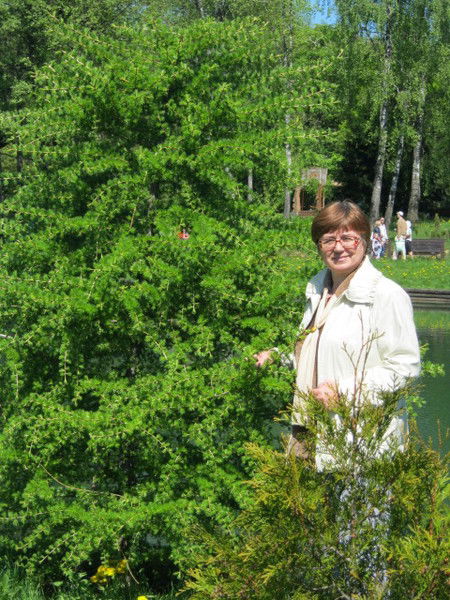 Елена Махнач