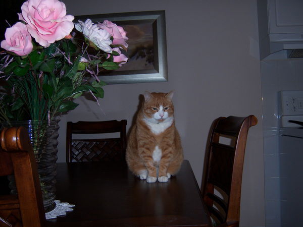 Natasha Kosobutskaya