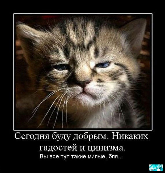 Туркин Михаил