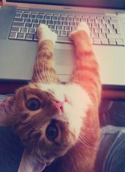 Катя Оськина