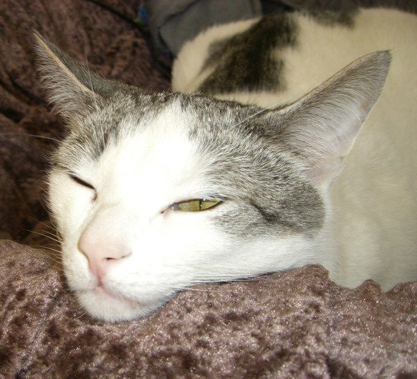 Ольга Графова