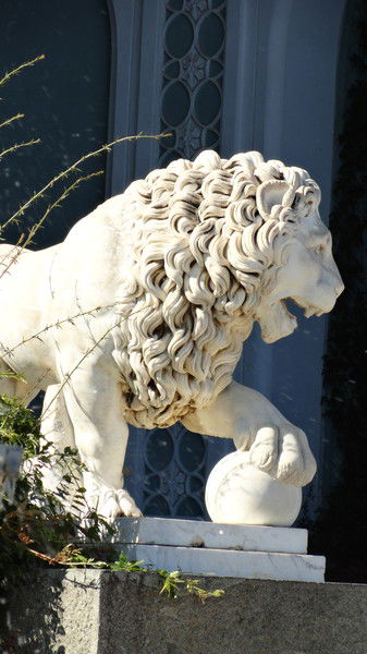 Алёна Якунина