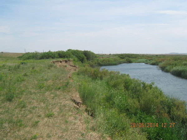 Рафик Халиков