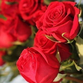 Камаргуль Тугурова