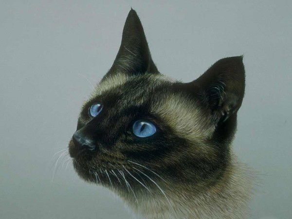 Anna Александровна