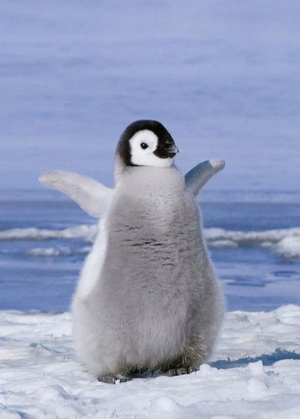 Юлия Муратова