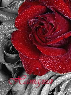 Наталья Соколова