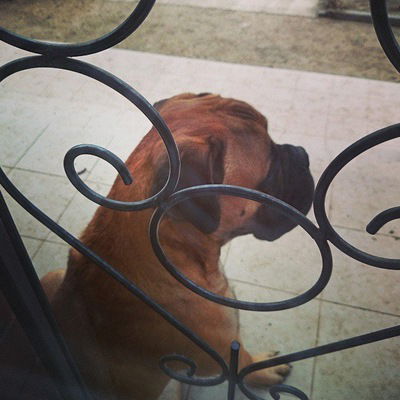 Никита Хромов