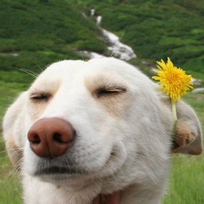 Владислав Савицкий