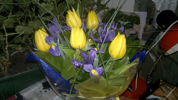 Наталья Звягинцева