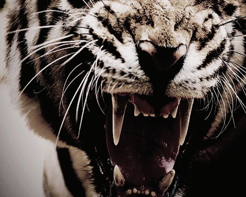 Сергей Погребовский