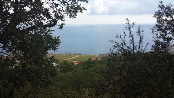 Дмитрий Михайлов