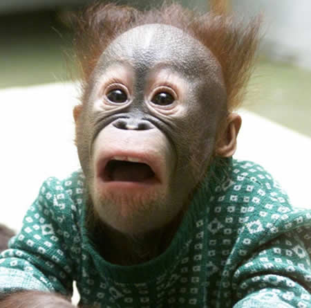 Андрей Королик