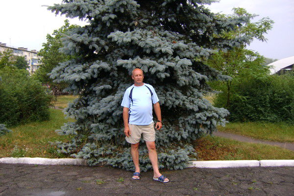 Владимир Кладов