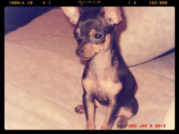 Марина Наумкина