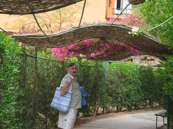 Анатолий Недоборенко