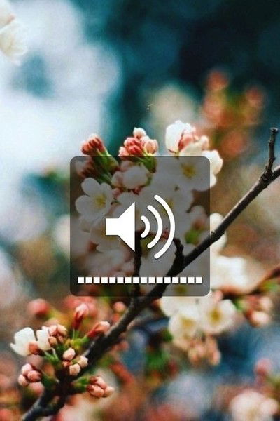 Алина Переверова