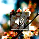 Алина Переверова