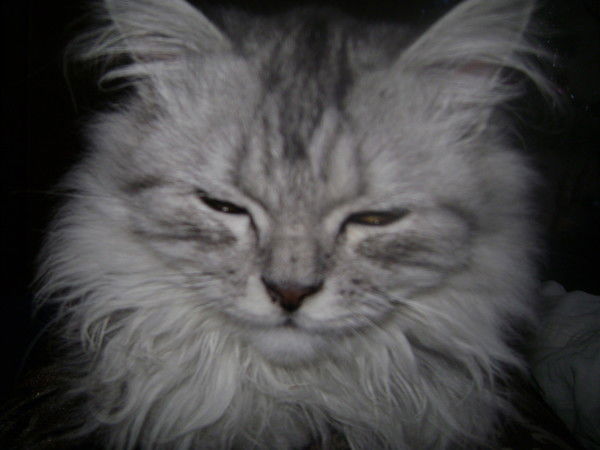 Вадим Александрович