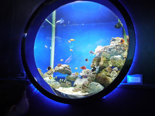 Екатерина Ан(Левицкая)