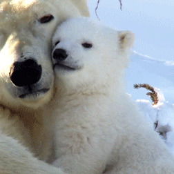 Вахтанги Думбадзе