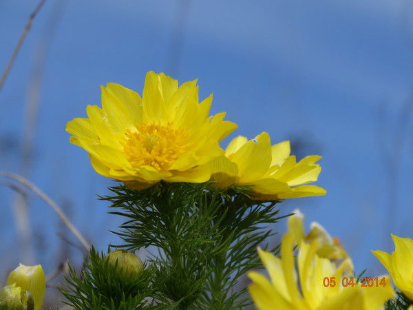 Александр .