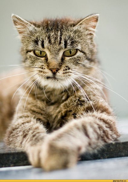 Лёха Кузнецов