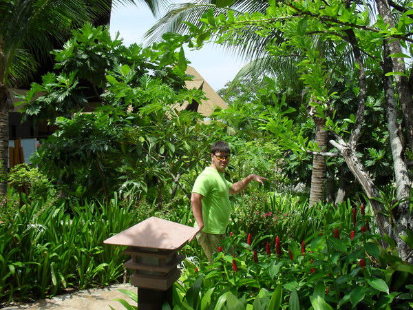 Дмитрий Гирман