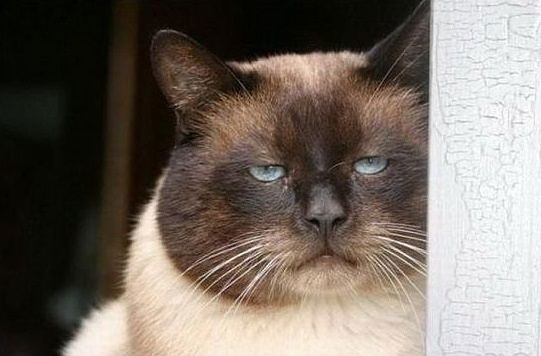 Галина Козырева