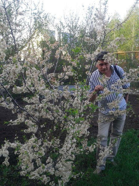 Вадим Васильев