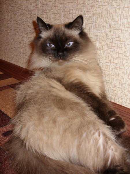 Екатерина Рябчикова