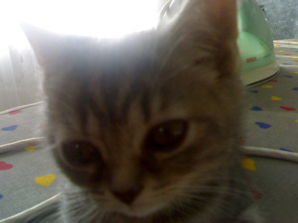 Иван Ковалев