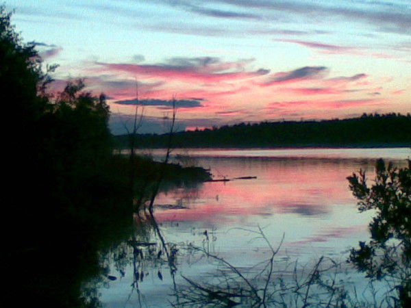 Елена Елена