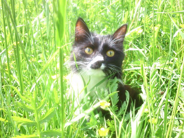 Алена Федотова