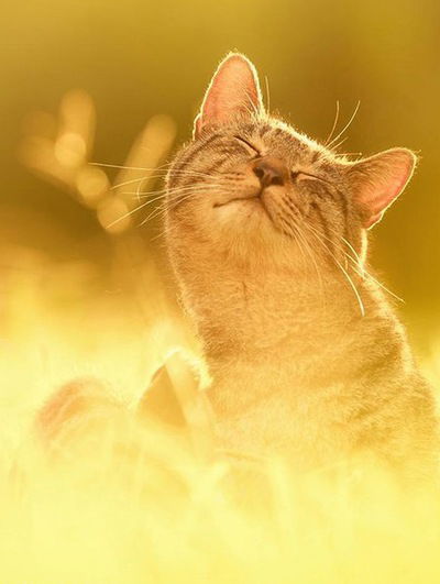 Женечка Иноземцева