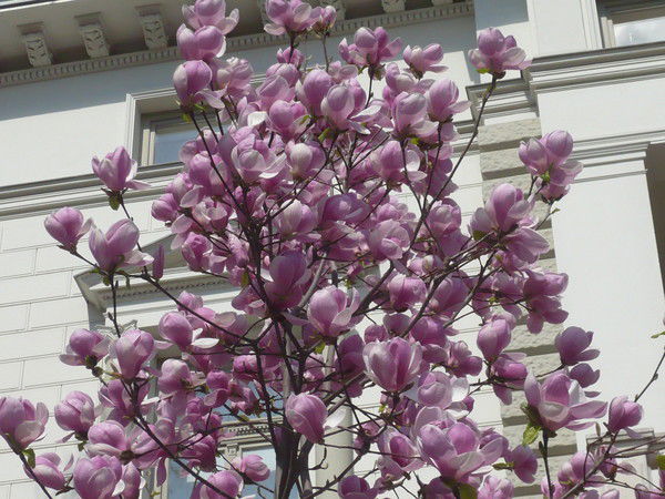 Ирина Филатова