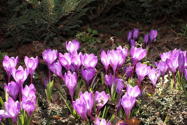 Люда Задавина