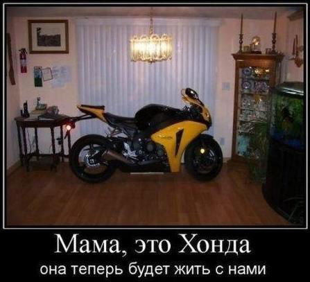 *tigrs* Смерти