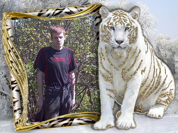 Вячеслав Глушкин