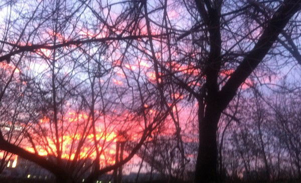 Любовь Тищенкова