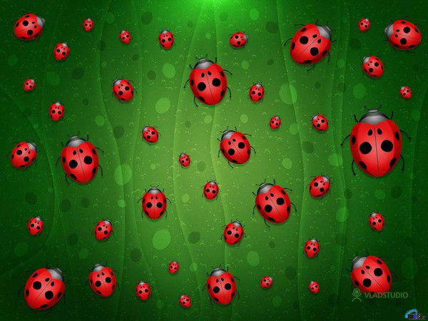 Наталья Чернова