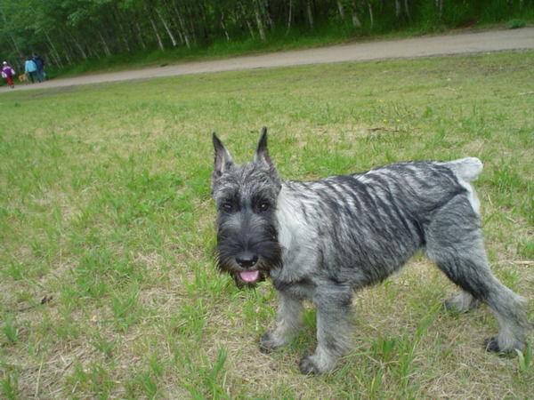 Виктор Сухоребрый