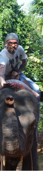 Андрей Мошев