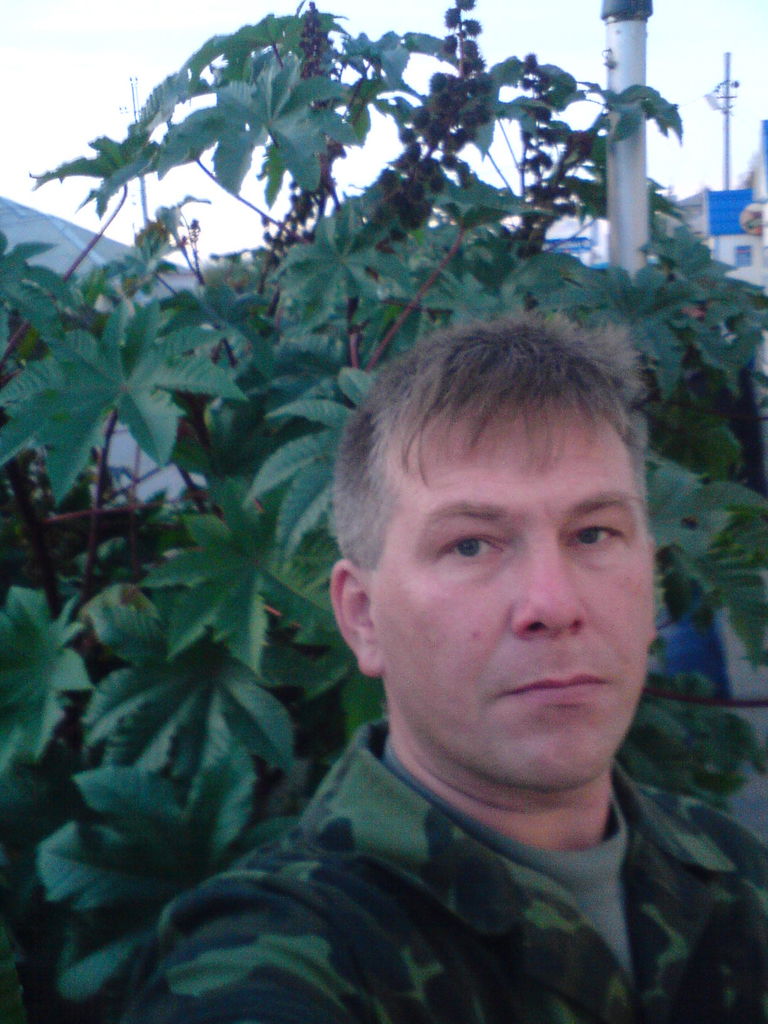 Владимир Куликов