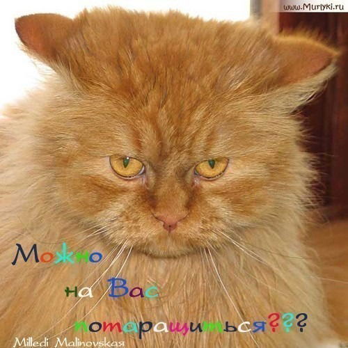 Хабирова Айлита