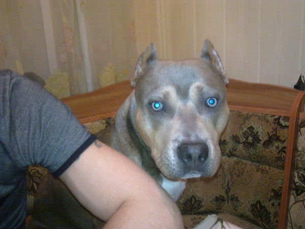 Татьяна Вороненко